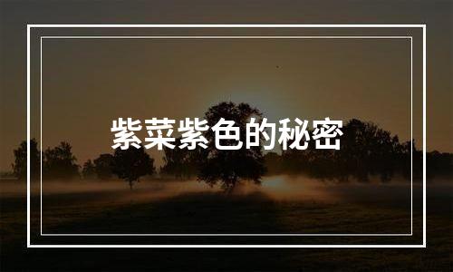 紫菜紫色的秘密