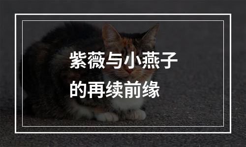 紫薇与小燕子的再续前缘