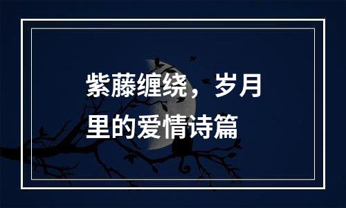 紫藤缠绕，岁月里的爱情诗篇