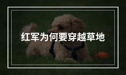 红军为何要穿越草地