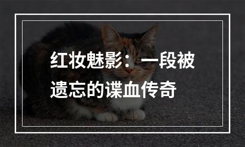 红妆魅影：一段被遗忘的谍血传奇