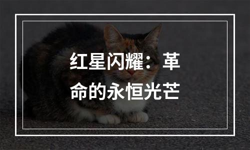 红星闪耀：革命的永恒光芒