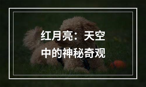 红月亮：天空中的神秘奇观