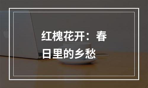 红槐花开：春日里的乡愁