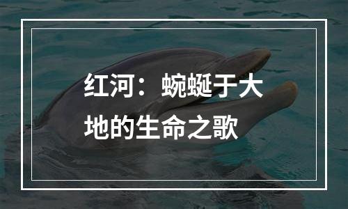 红河：蜿蜒于大地的生命之歌