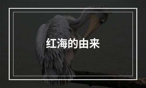 红海的由来