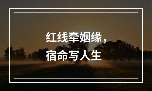 红线牵姻缘，宿命写人生