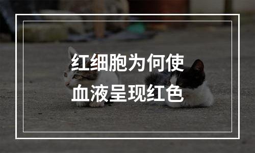 红细胞为何使血液呈现红色