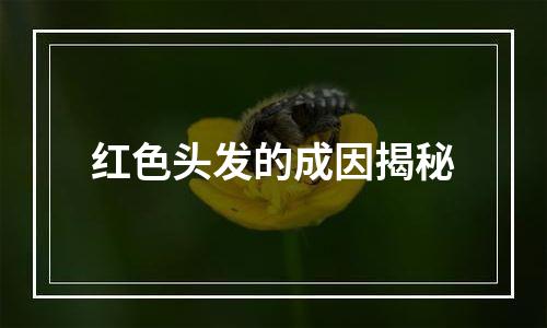 红色头发的成因揭秘