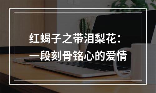 红蝎子之带泪梨花：一段刻骨铭心的爱情