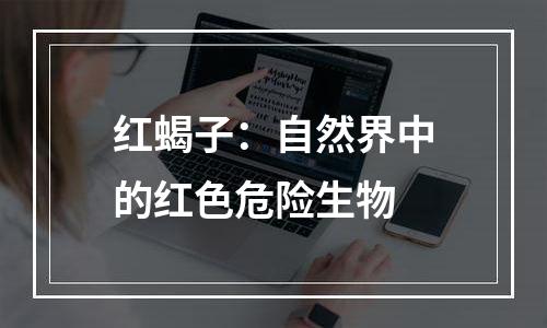 红蝎子：自然界中的红色危险生物