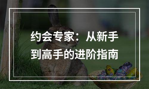 约会专家：从新手到高手的进阶指南