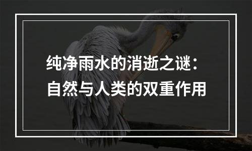 纯净雨水的消逝之谜：自然与人类的双重作用