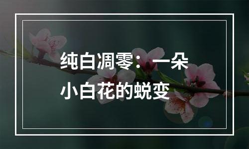 纯白凋零：一朵小白花的蜕变