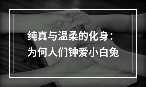 纯真与温柔的化身：为何人们钟爱小白兔