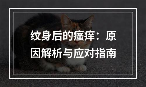 纹身后的瘙痒：原因解析与应对指南