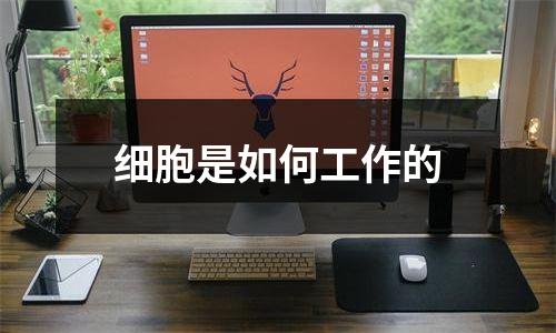 细胞是如何工作的