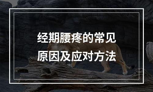 经期腰疼的常见原因及应对方法