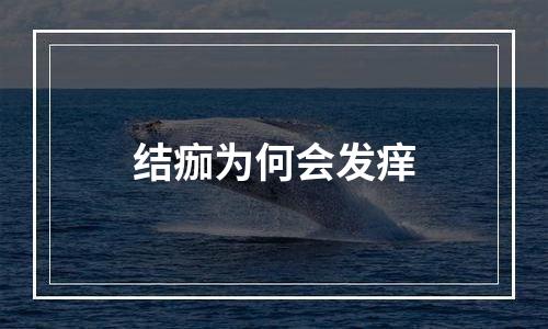 结痂为何会发痒