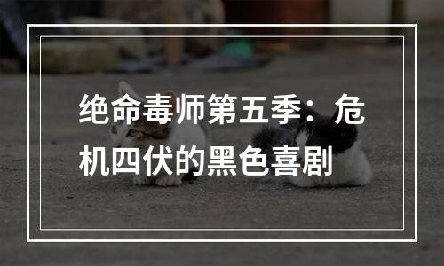 绝命毒师第五季：危机四伏的黑色喜剧