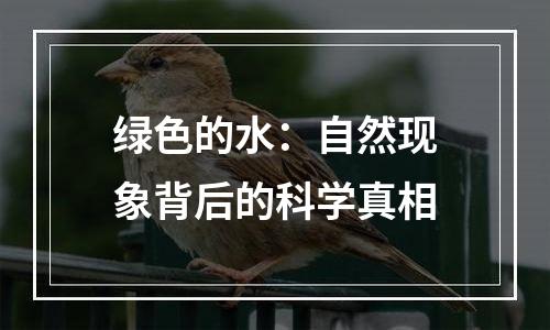 绿色的水：自然现象背后的科学真相