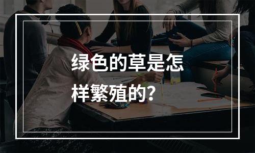 绿色的草是怎样繁殖的？