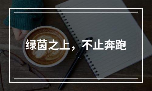 绿茵之上，不止奔跑