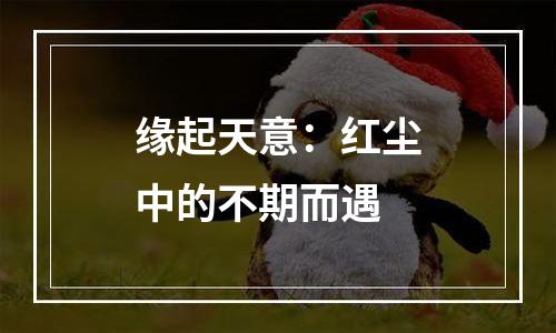 缘起天意：红尘中的不期而遇