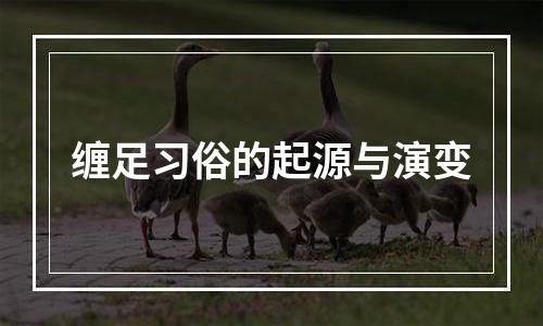 缠足习俗的起源与演变