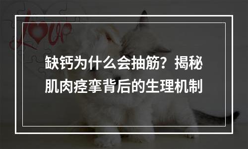 缺钙为什么会抽筋？揭秘肌肉痉挛背后的生理机制