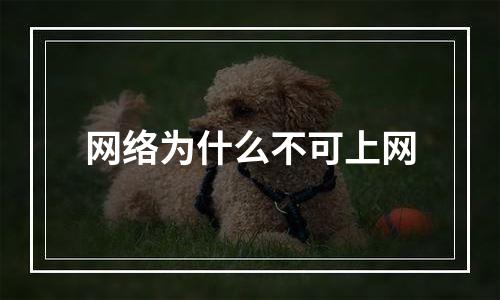 网络为什么不可上网