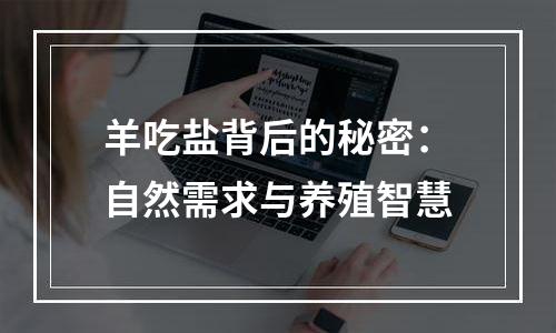 羊吃盐背后的秘密：自然需求与养殖智慧