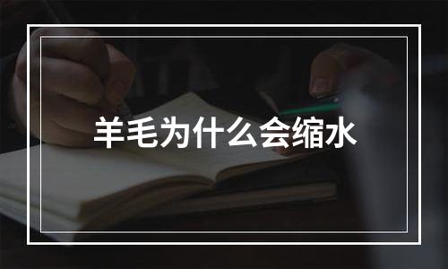 羊毛为什么会缩水