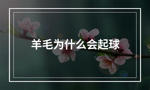 羊毛为什么会起球