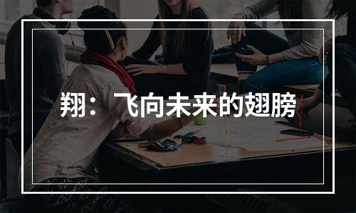 翔：飞向未来的翅膀