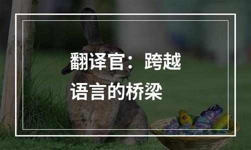 翻译官：跨越语言的桥梁
