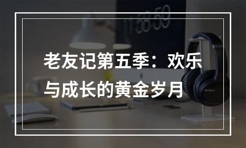 老友记第五季：欢乐与成长的黄金岁月