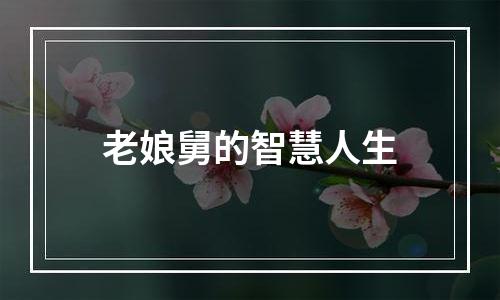 老娘舅的智慧人生