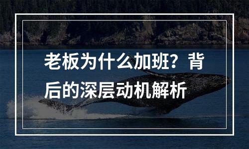 老板为什么加班？背后的深层动机解析