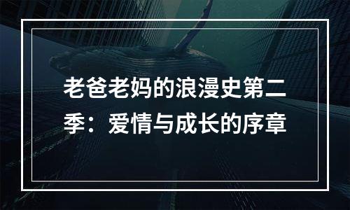 老爸老妈的浪漫史第二季：爱情与成长的序章