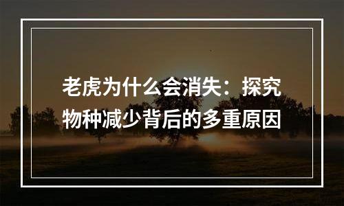 老虎为什么会消失：探究物种减少背后的多重原因
