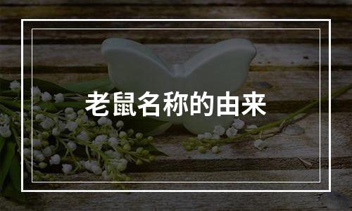 老鼠名称的由来