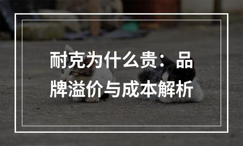 耐克为什么贵：品牌溢价与成本解析