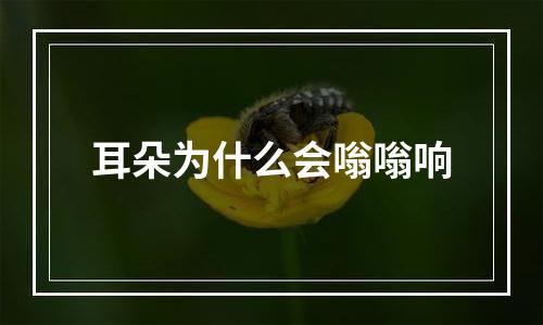 耳朵为什么会嗡嗡响