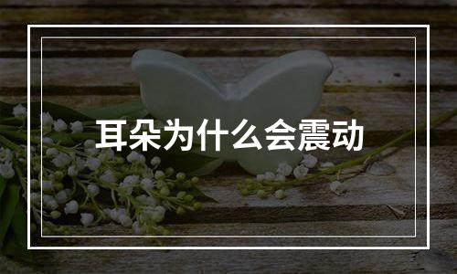 耳朵为什么会震动