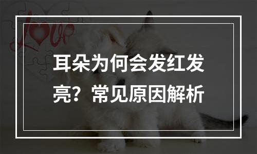 耳朵为何会发红发亮？常见原因解析