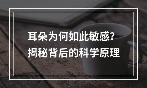 耳朵为何如此敏感？揭秘背后的科学原理