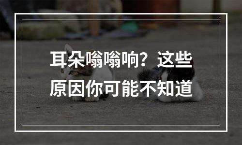 耳朵嗡嗡响？这些原因你可能不知道
