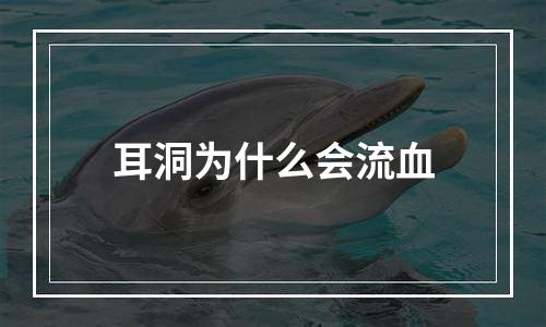 耳洞为什么会流血