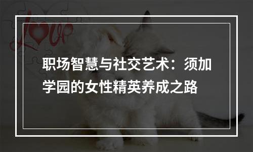 职场智慧与社交艺术：须加学园的女性精英养成之路